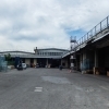 Monteveglio Siti (1)-1024
